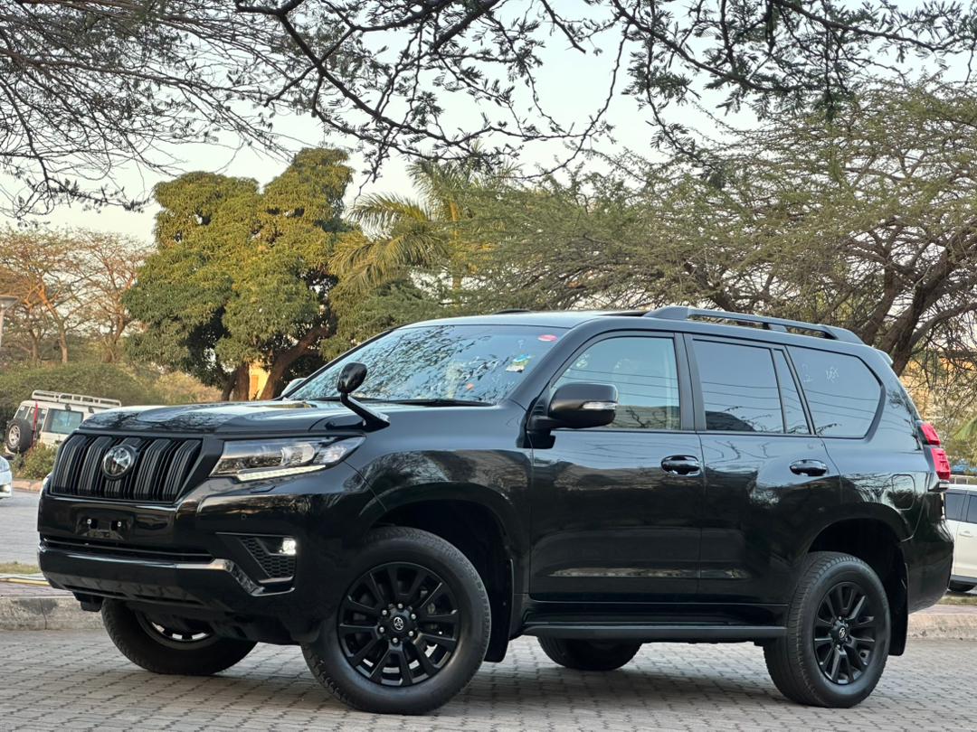 LandCruiser PRADO TX thumbnail 2